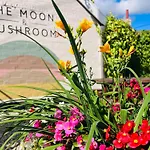 The Loft At The Moon And Mushroom Inn - Suffolk Coast