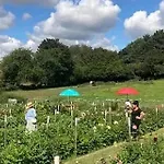Flower Farm Glamping Retreat In Suffolk
