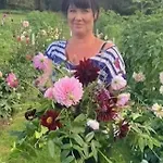 Flower Farm Glamping Retreat In Suffolk