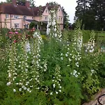The Martins B&B