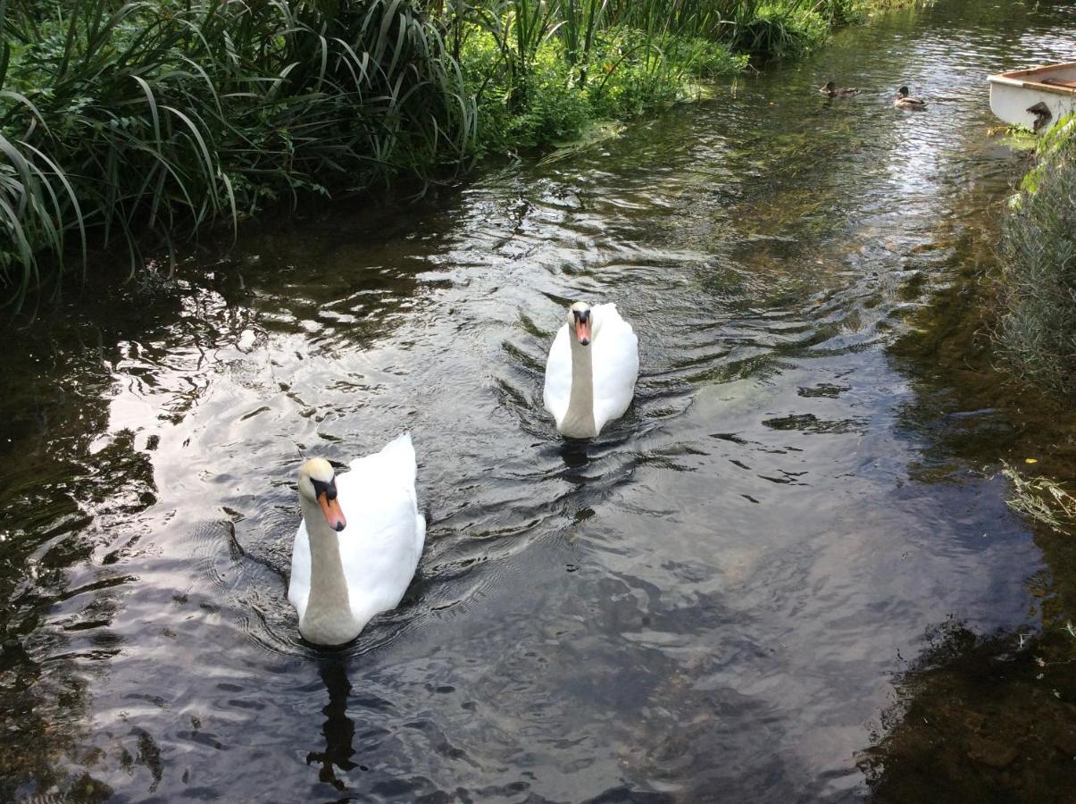 Stourbank Nayland