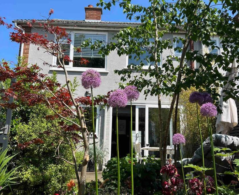Suburban Hideaway In Suffolk Holiday home *