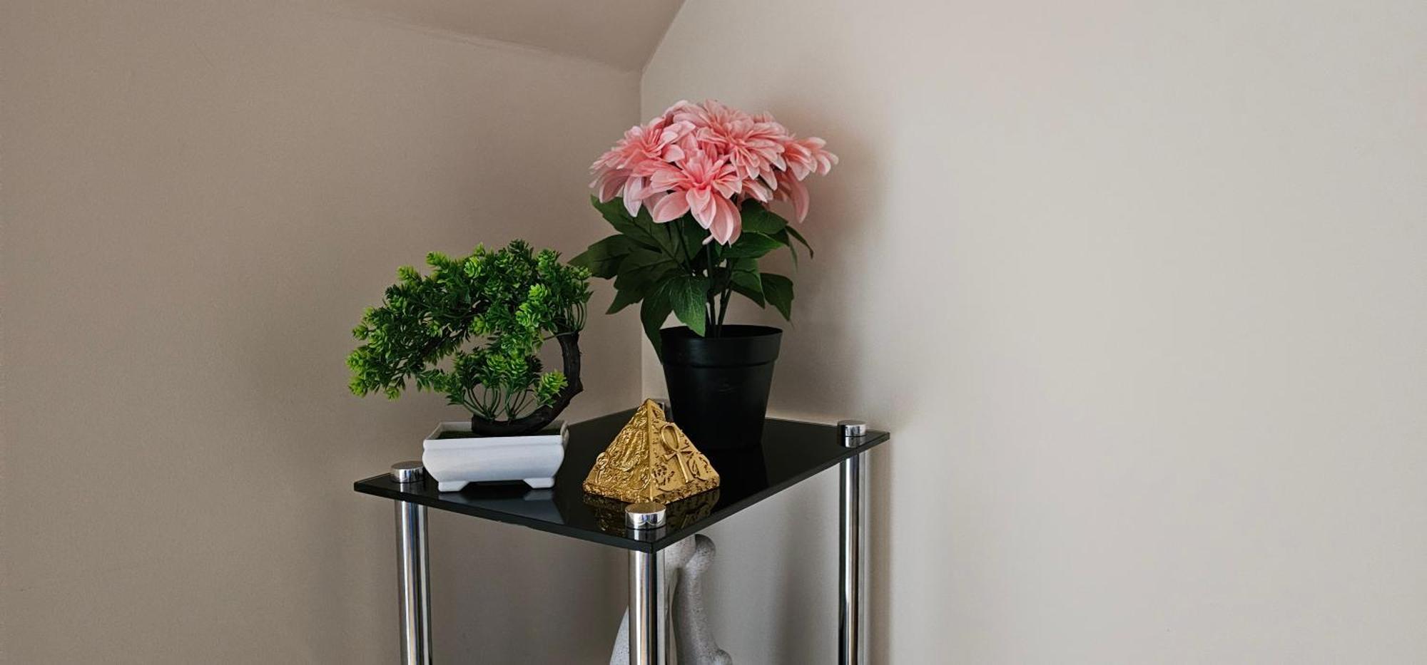 Modern Town Centre Flat 12 At Christchurch Park Apartment