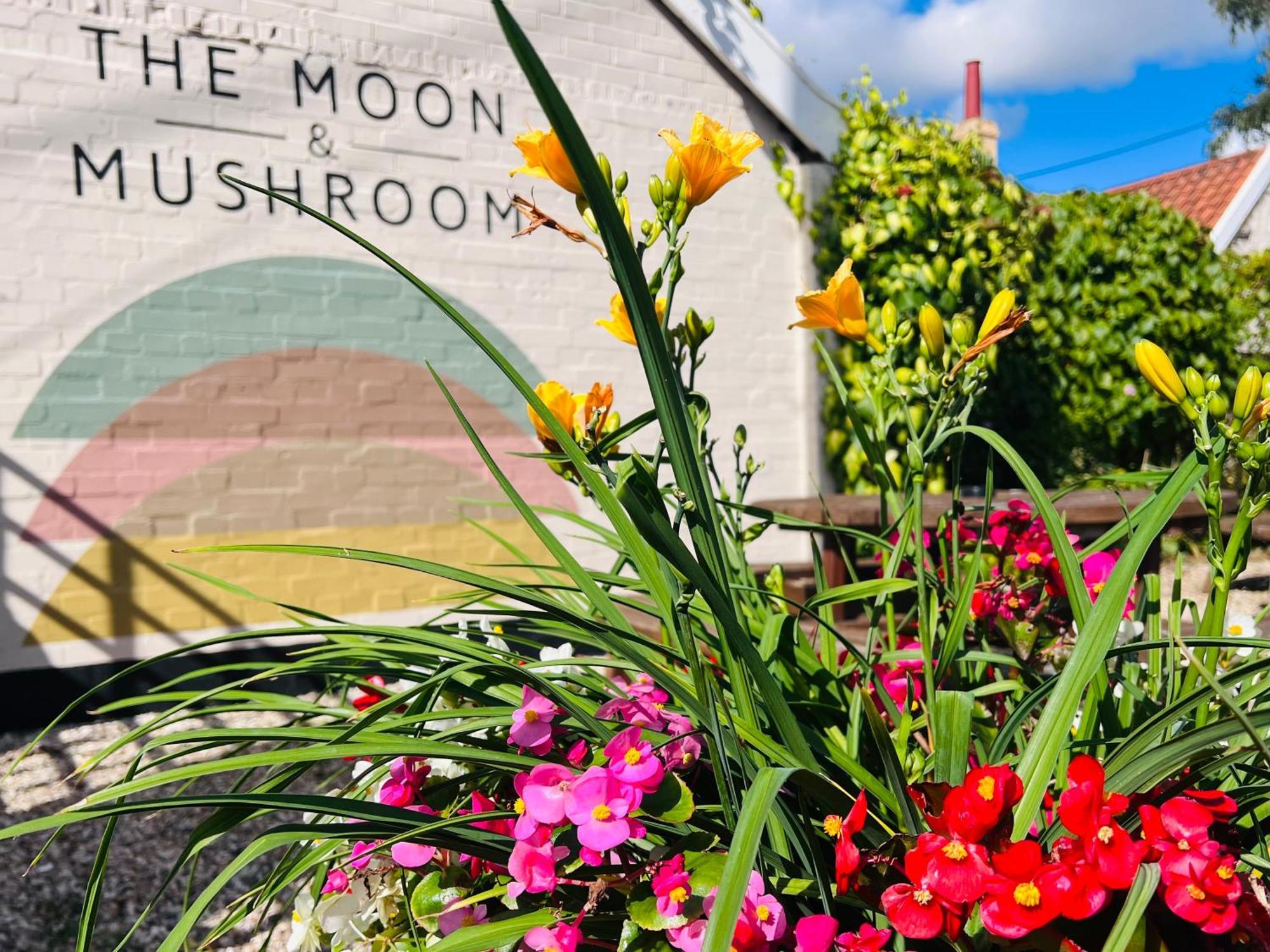 The Loft At The Moon And Mushroom - Suffolk Coast Apartment *