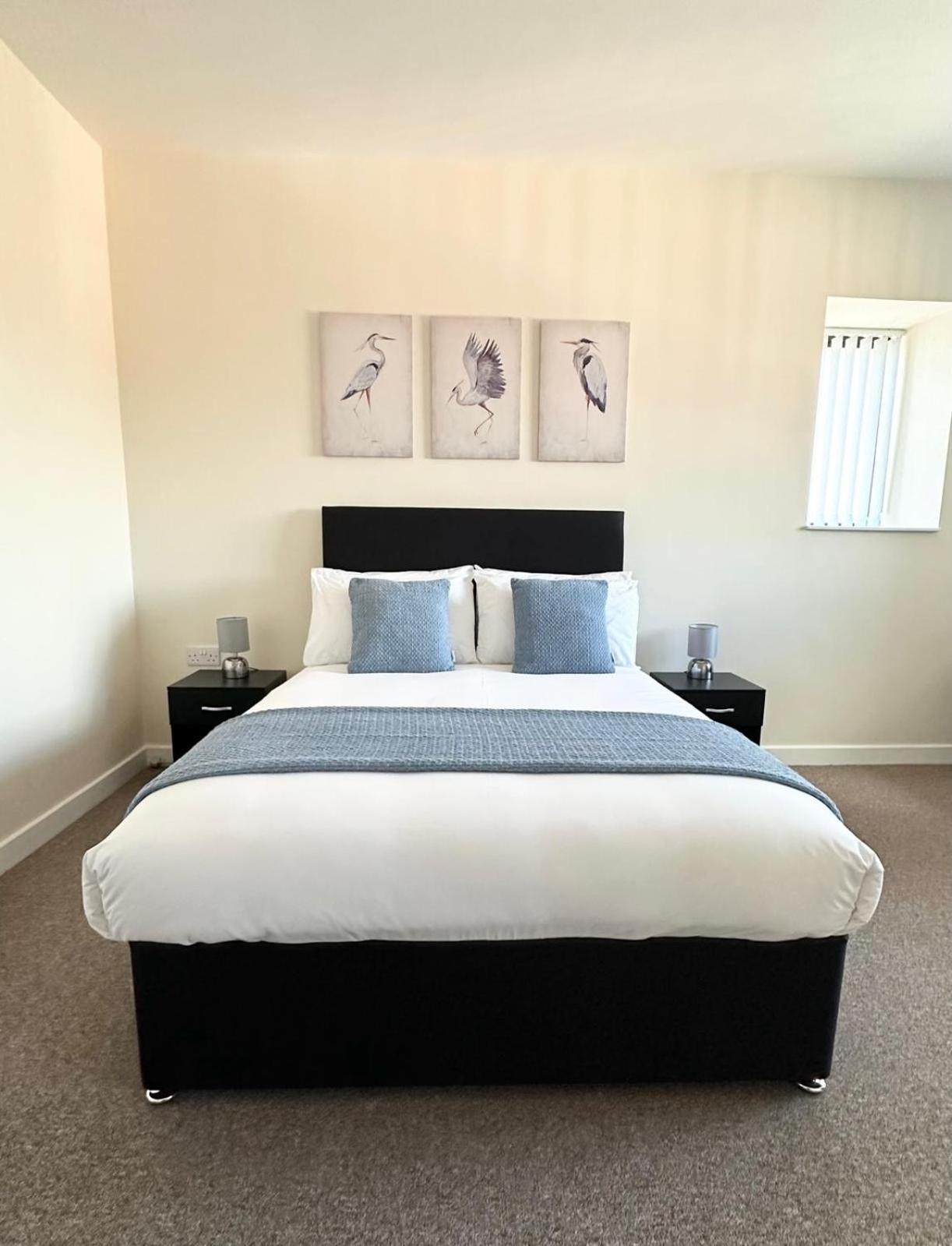New Luxury Flats *