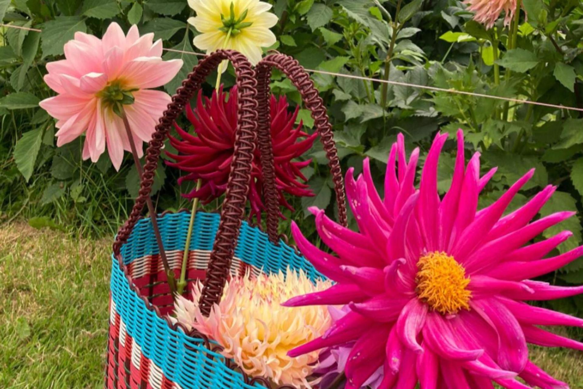 Flower Farm Glamping Retreat In Suffolk * Ipswich