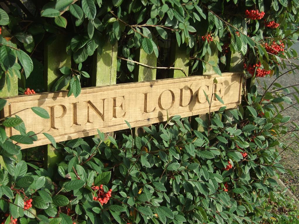 Bed & Breakfast Pine Studio