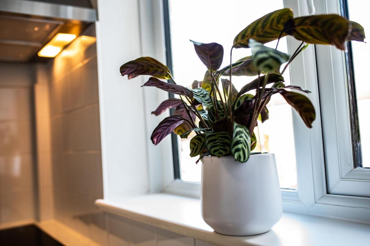 Town House Chantry - With Self Check In And Free Parking - At Ipswichdigs Guest house
