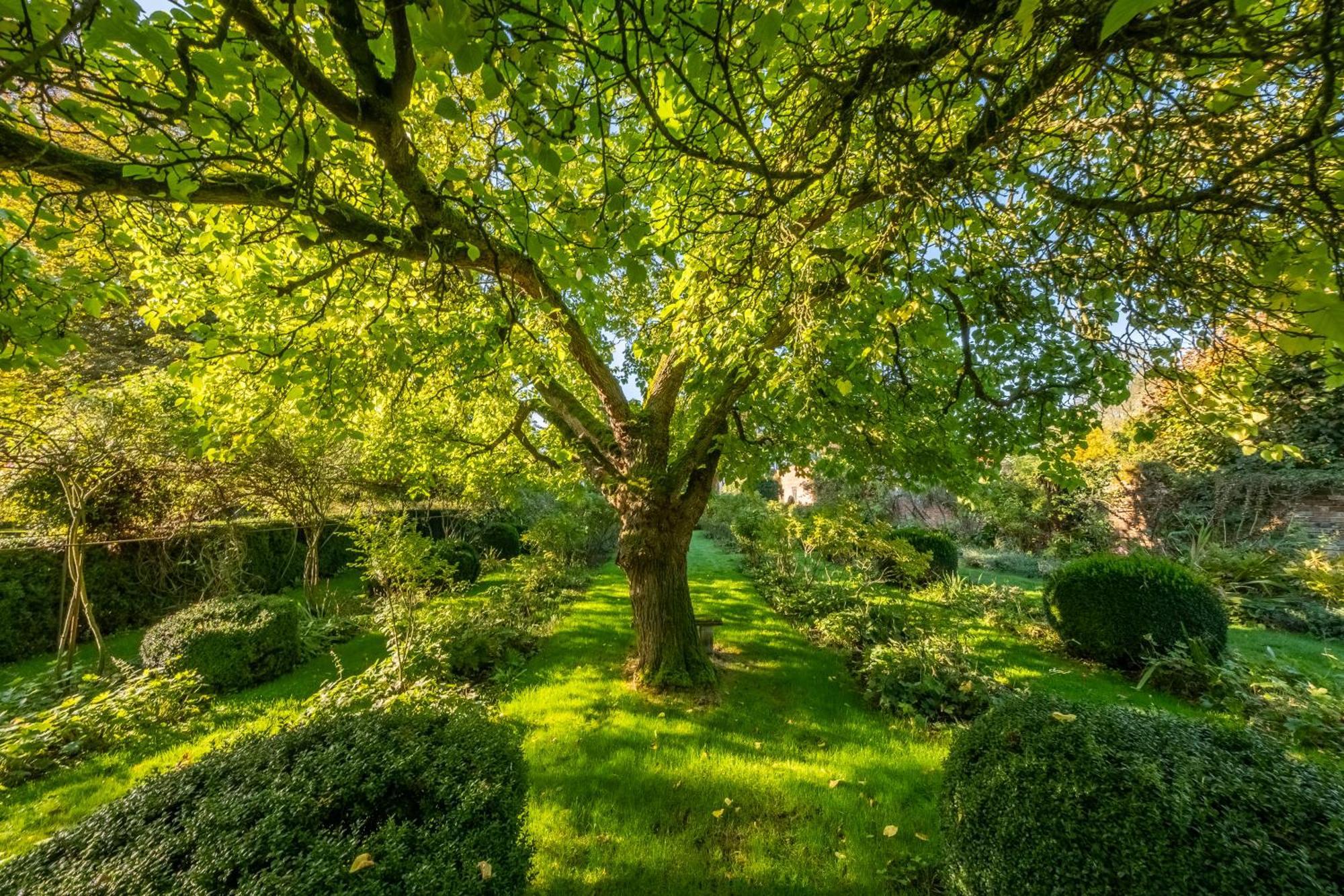 Spectacular Thousand Year Old Medieval Manor House - Flemings Hall Ipswich
