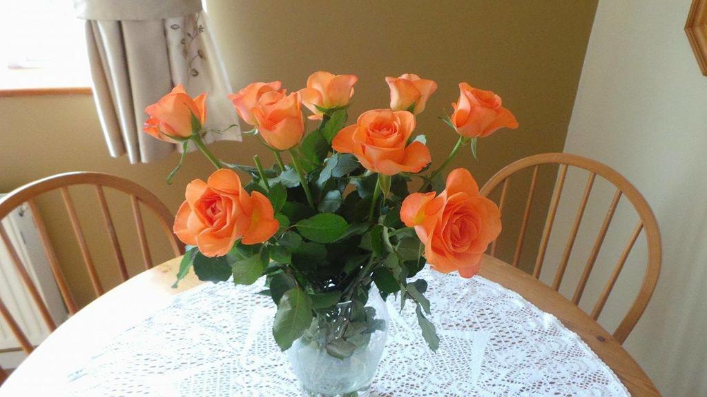 Bed & Breakfast Chimneys B&B Holbrook (Suffolk)