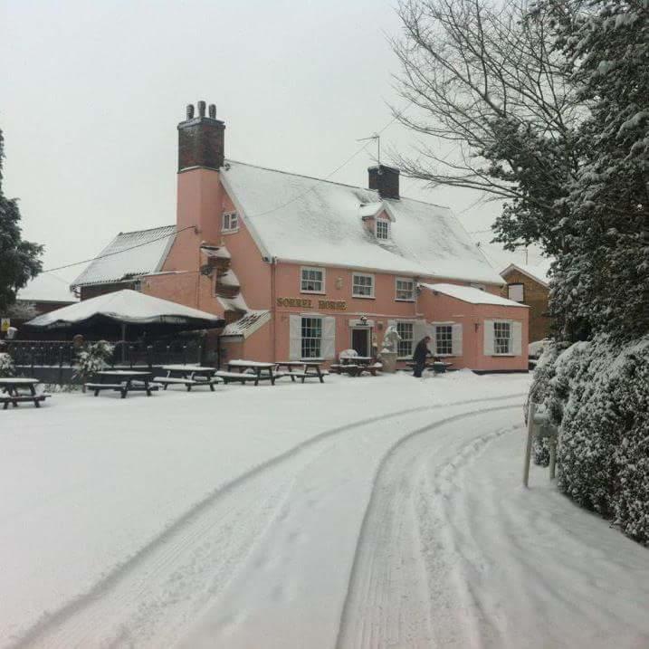 Hotel Sorrel Horse